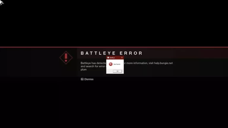 How to Fix Error Code Plum in Destiny 2? 13