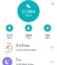 Accuracy of the Fitbit Calorie Tracker 17
