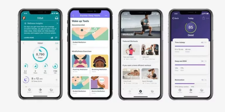 How Much Does Fitbit Premium Cost? 15