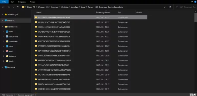 How to Find Your Grounded Save File on Windows? 9