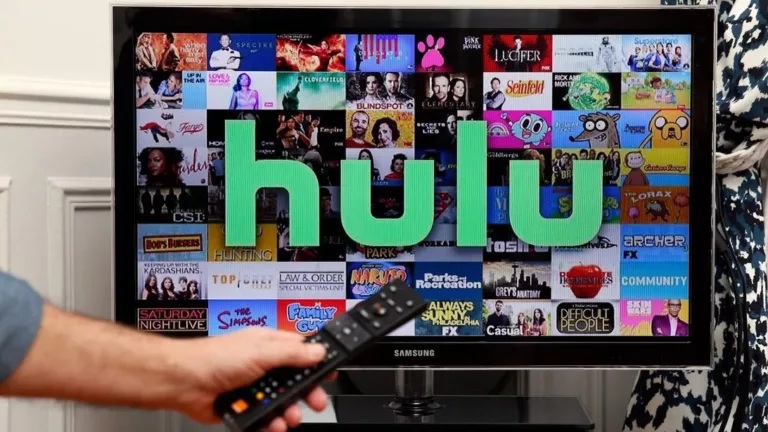 Causes of Hulu Streaming Issues and How to Fix Them? 23