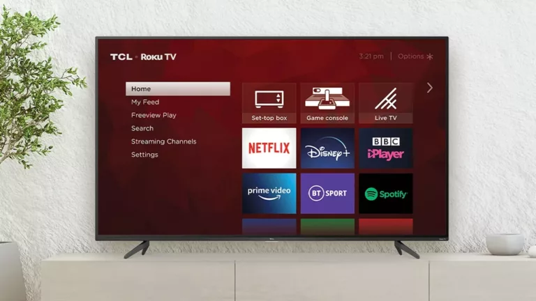How to Use Internet Explorer on Your Roku Device? 13
