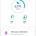 How to Manually Log Your Steps with Fitbit? 15