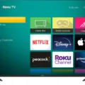 How to Change Hdmi On Roku TV? 9