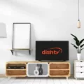 How to Get Rid of Small Screen On TV Dish? 17