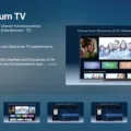 A Comprehensive Review of Spectrum TV App 17