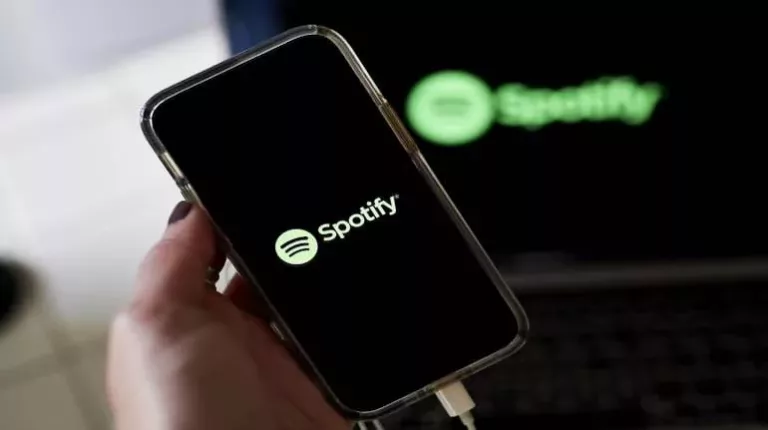How to Get Spotify Online Again on Your Phone? 17