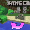 How Long Do Turtle Eggs Take To Hatch in Minecraft? 11