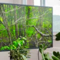 How to Protect Your Vizio Outdoor TV? 15