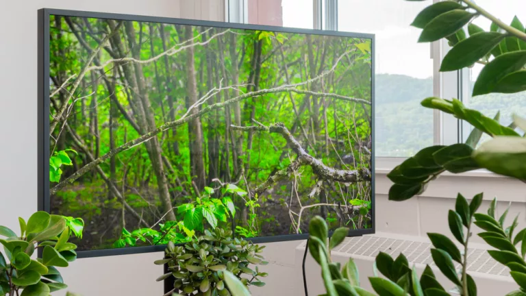 How to Protect Your Vizio Outdoor TV? 7