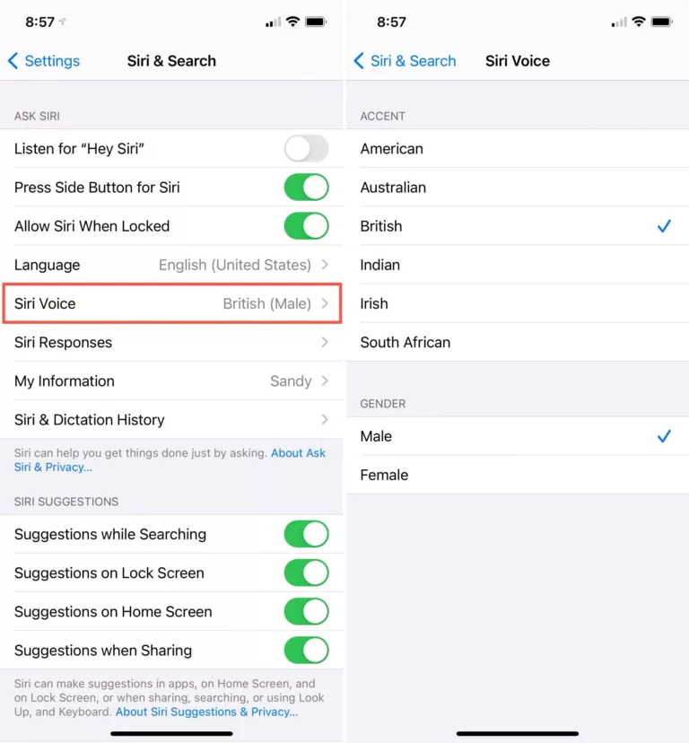 How to Change Siri's Accent to British on Your iPhone? 5