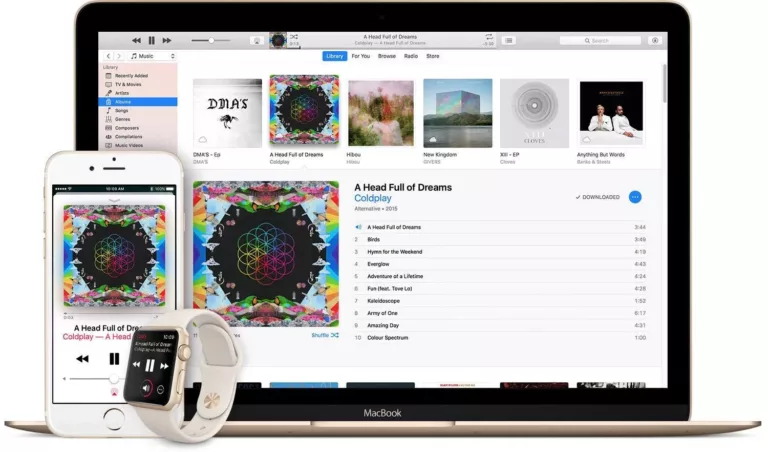 Does Apple Music Work Offline? 17