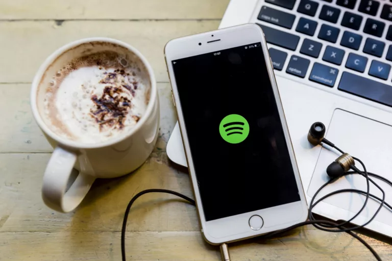 How to Troubleshoot Spotify Crashes on iPhone? 1