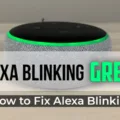 Why Does My Alexa Keep Blinking Green? 17