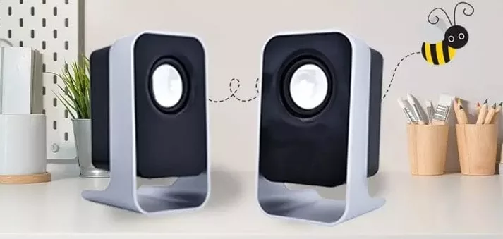 How to Troubleshoot Buzzing Speakers? 5