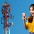 Which Cell Service Uses Verizon Towers? 7
