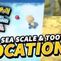 Where to Get Deep Sea Tooth in Pokemon BDSP? 7