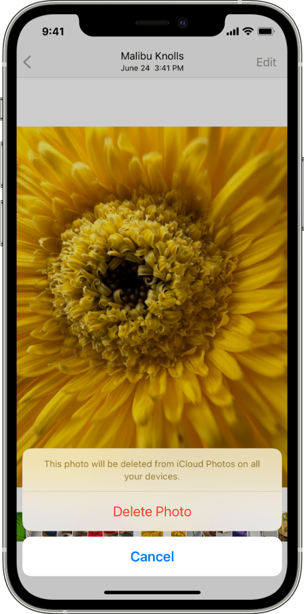 How to Delete Photos From an Apple Device? 2 How to Delete Photos From an Apple Device? 1