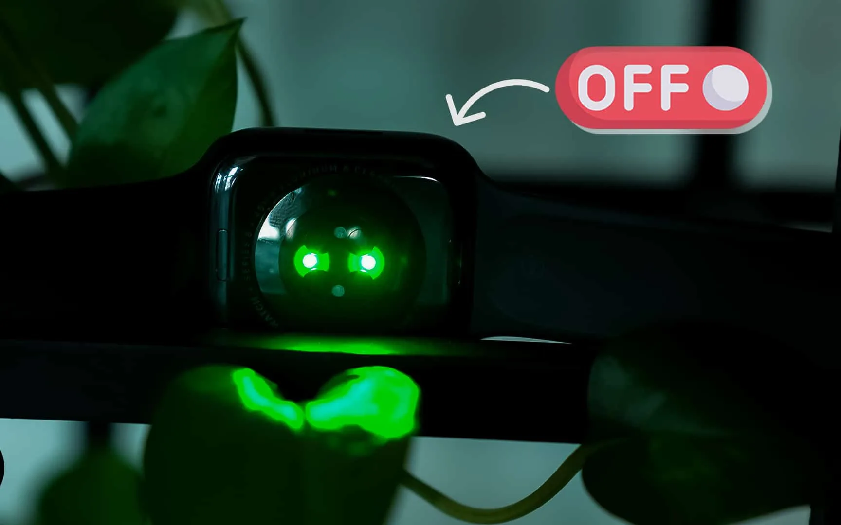 Why is My Heart Monitor Flashing Green? DeviceMAG