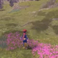 How to Find Medicinal Leeks in Pokémon Legends Arceus? 17