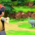 What to Do When Access Route 225 is Blocked in Pokemon BDSP? 17