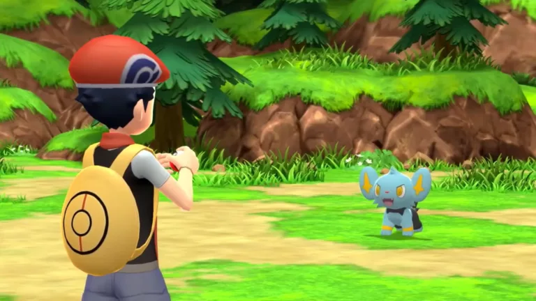 What to Do When Access Route 225 is Blocked in Pokemon BDSP? 9