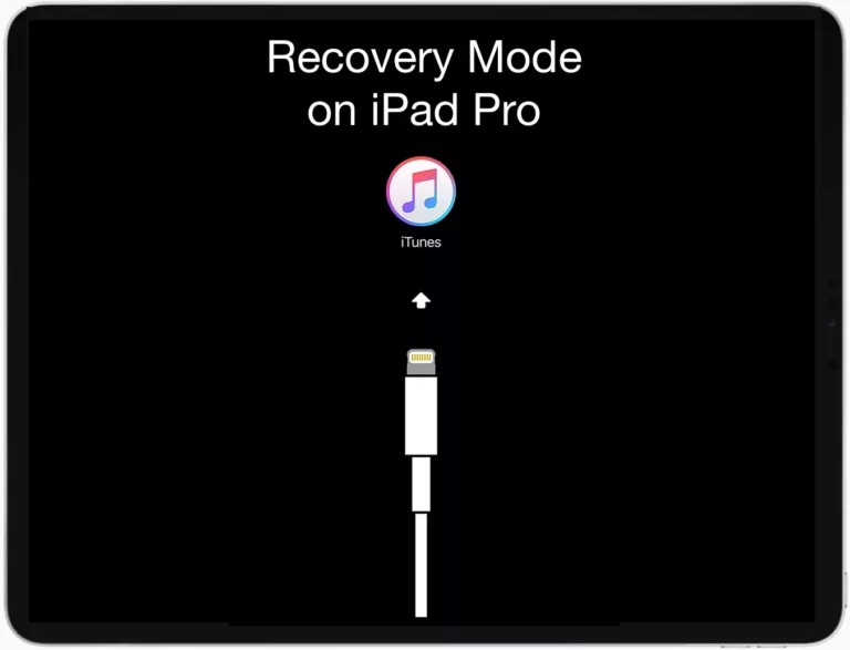 How to Use Recovery Mode on Your iPad? 15