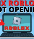 How to Troubleshoot Roblox Won't Launch? 7