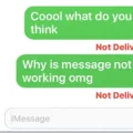 SMS Sent but Not Delivered: What Does It Mean? 13