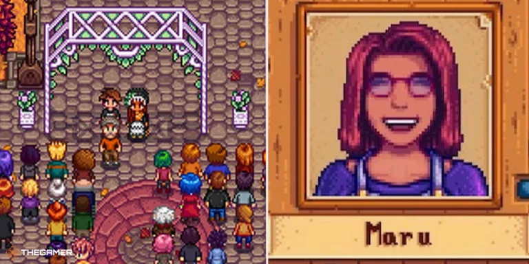 What Does Maru Love in Stardew Valley? 3