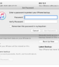 All You Need to Know About iTunes Backups Password 15