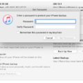 All You Need to Know About iTunes Backups Password 9