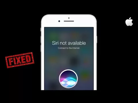 How to Fix Siri Not Available Connect to the Internet Error? 15