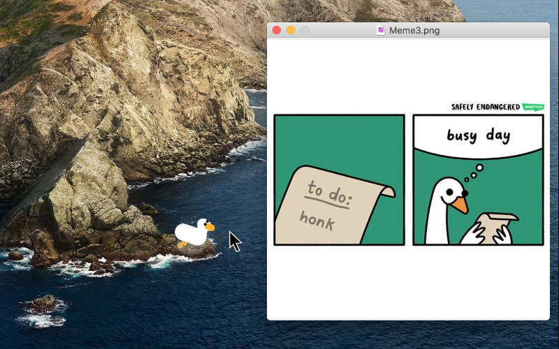 How to Get Rid Of Desktop Duck? 2 How to Get Rid Of Desktop Duck? 1