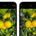 How to Turn Off Live Photos on Your iPhone? 1