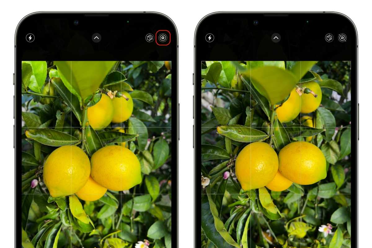 How to Turn Off Live Photos on Your iPhone? 2 How to Turn Off Live Photos on Your iPhone? 1