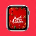 How to Celebrate the Holidays with a Festive Apple Watch Face? 3