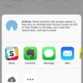 How to Share Your Contact on iPhone? 13