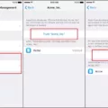 How to Trust App on iPhone iOS 14? 1