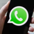 Exploring the Features of WhatsApp Status 1