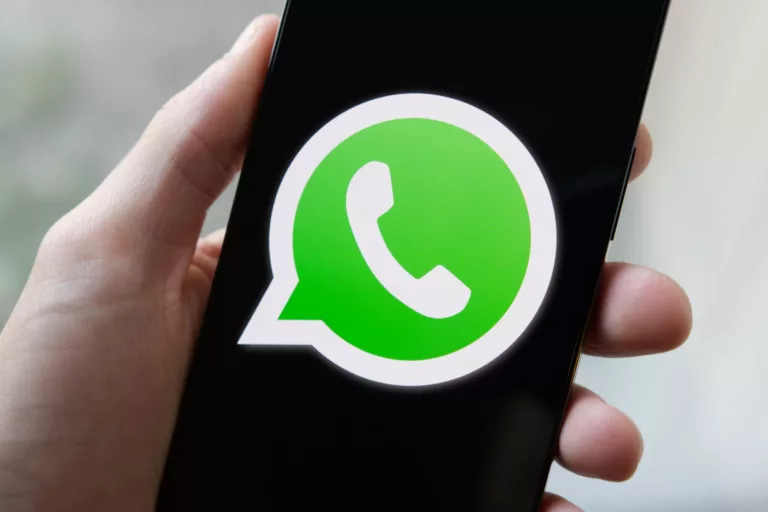 Exploring the Features of WhatsApp Status 3