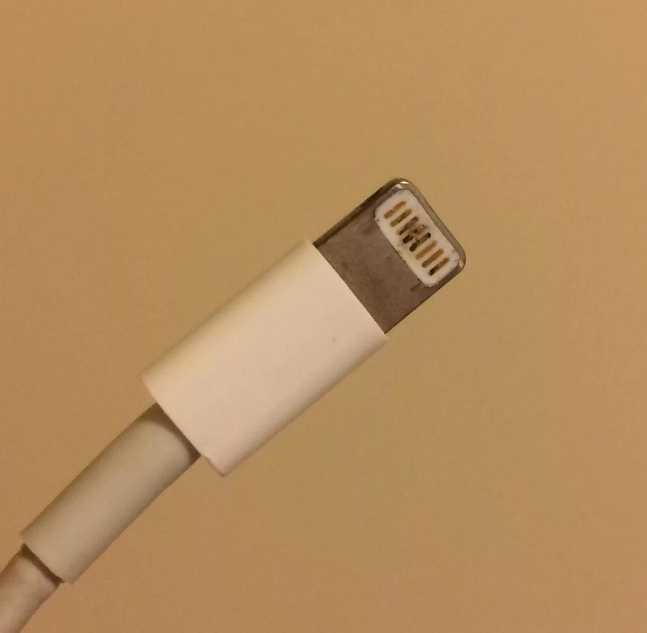 All You Need to Know About Apple Charger Warranty DeviceMAG