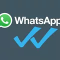 Understanding Blue Check Marks on WhatsApp 13