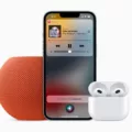Can You Listen to Apple Music on a Plane? 11