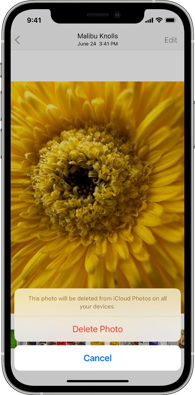 How to Delete Permanently Recently Deleted Photos on iPhone? 3