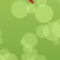How to Open Gmail App on Android and iOS Devices? 5