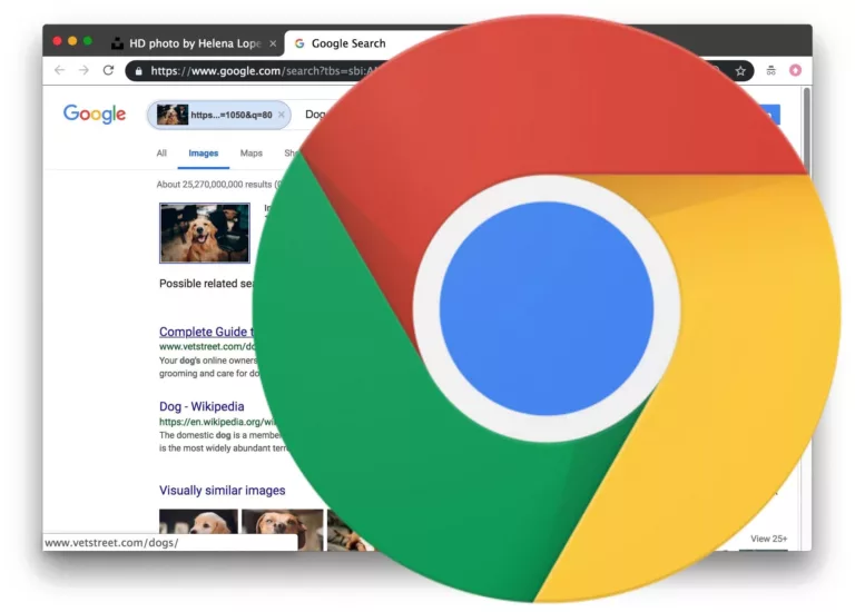 Quick Tips for Using Google Reverse Image Search Shortcut 3
