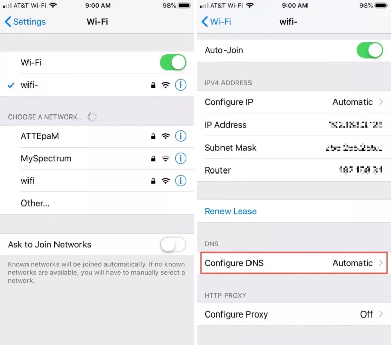 How to Change DNS On iPhone? 15