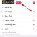 How to Make Songs Available Offline Apple Music? 11