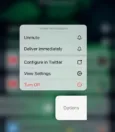 How to Unmute Notifications on iPhone? 9